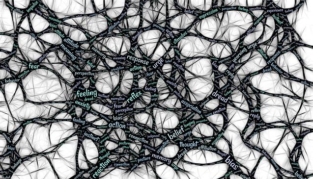 neurony i połączenia między nimi